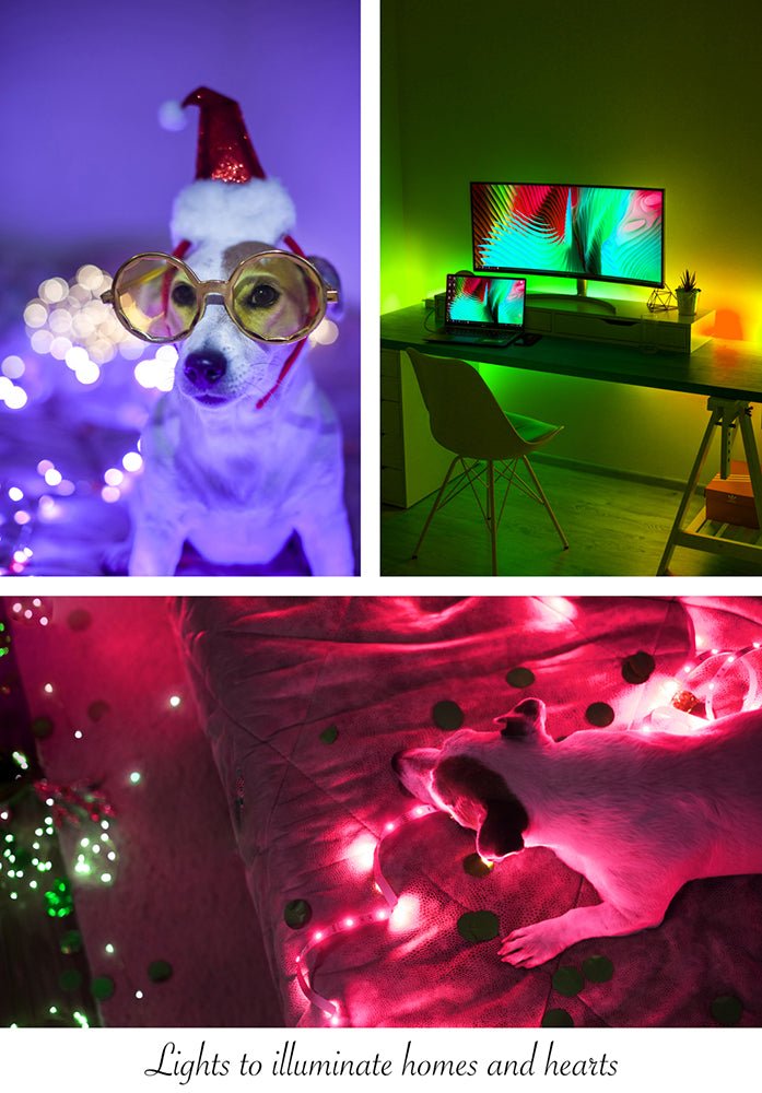 Suggested indoor usage of Holiday 5m RGB LED Strip Light 150 LEDs SMD5050 DC12V IP20 25W 2A Adaptor with Remote controler