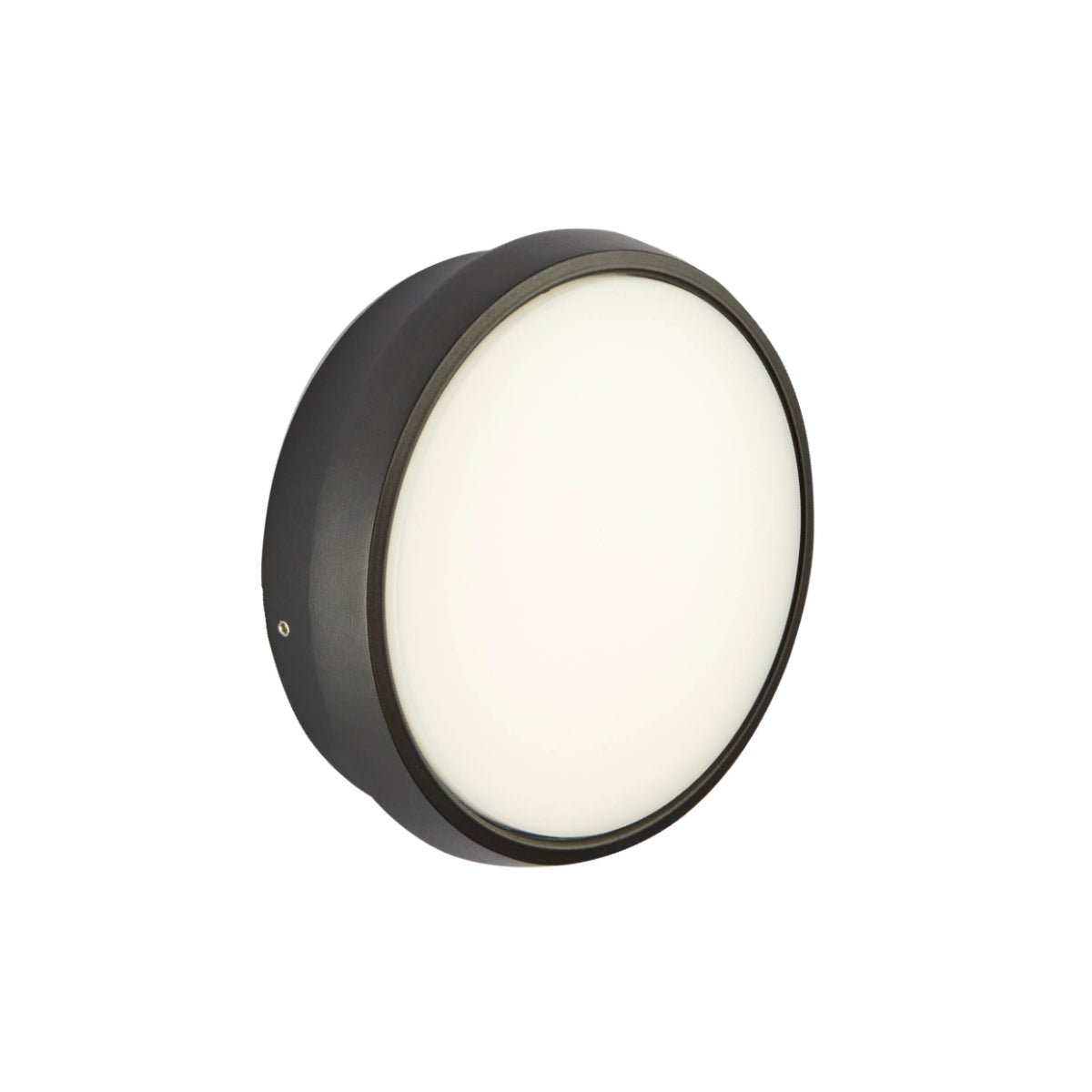Main image of Black Ring Moonlight Outdoor Modern LED Wall Light | TEKLED 183-03318