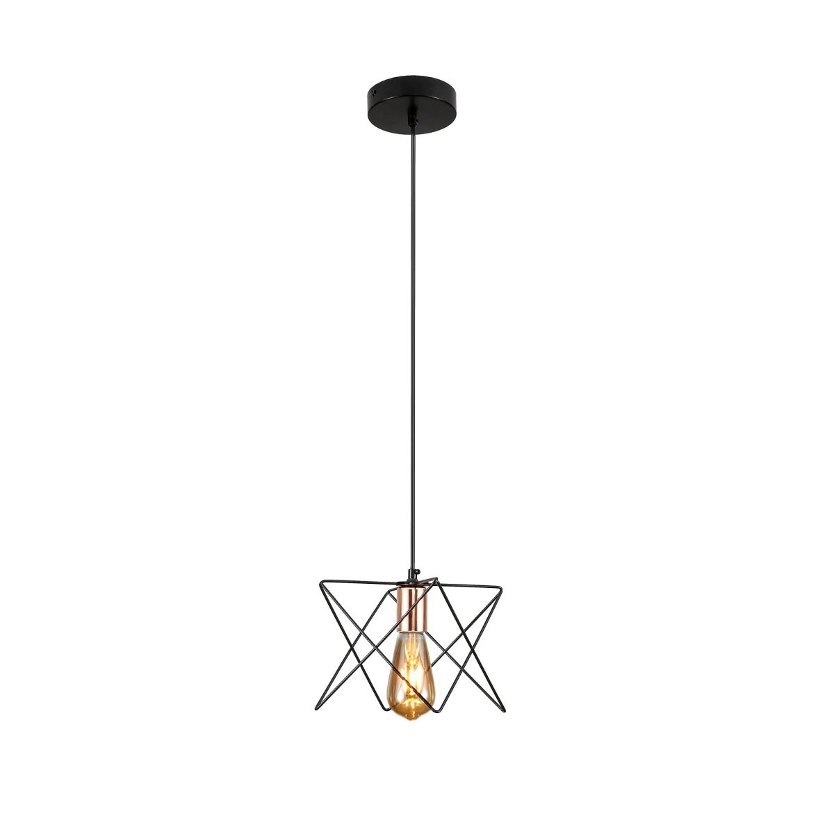 Black metal caged pendant light with e27 main