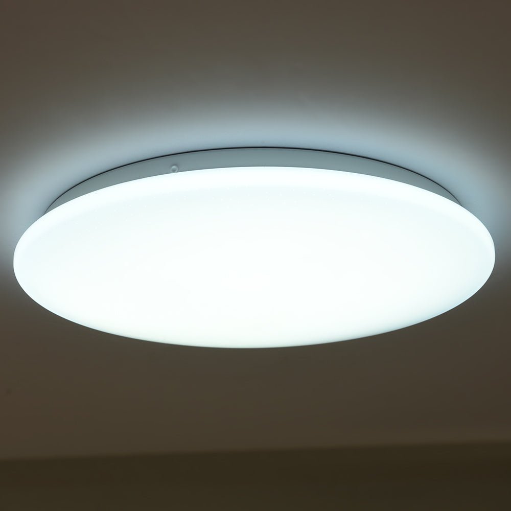 Moonlight Flush Ceiling Light 24W Warm White Cool White Cool