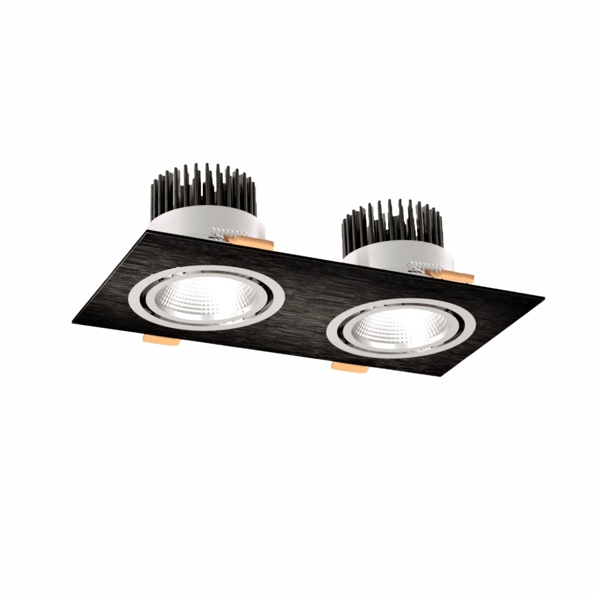 Main image of LED Recessed Downlight 2X10W Warm White 3000K Black IP20