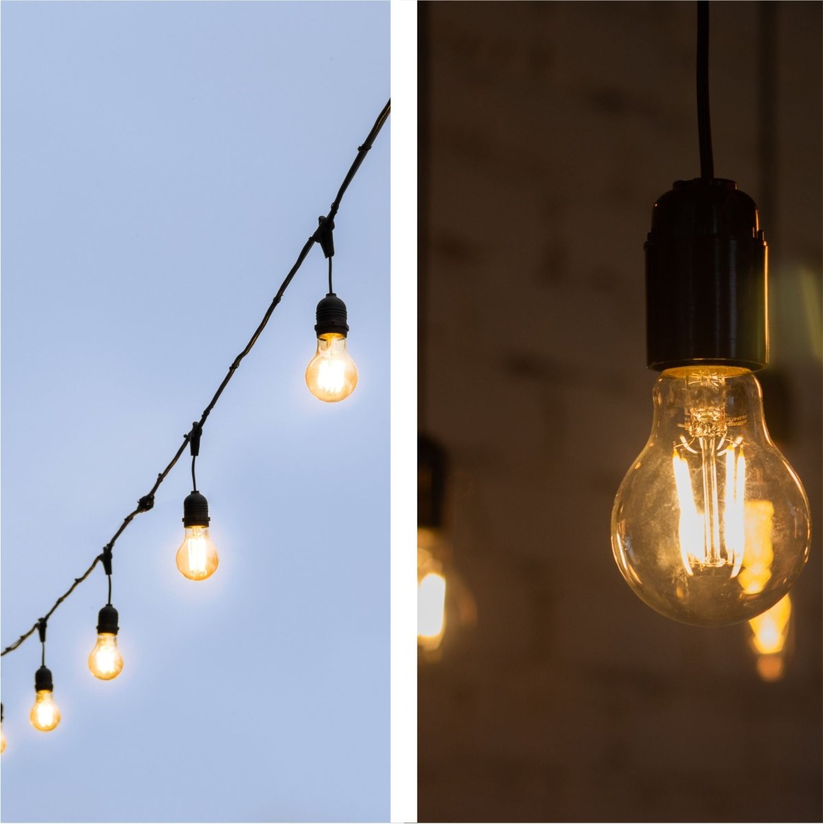 Small edison store bulb string lights